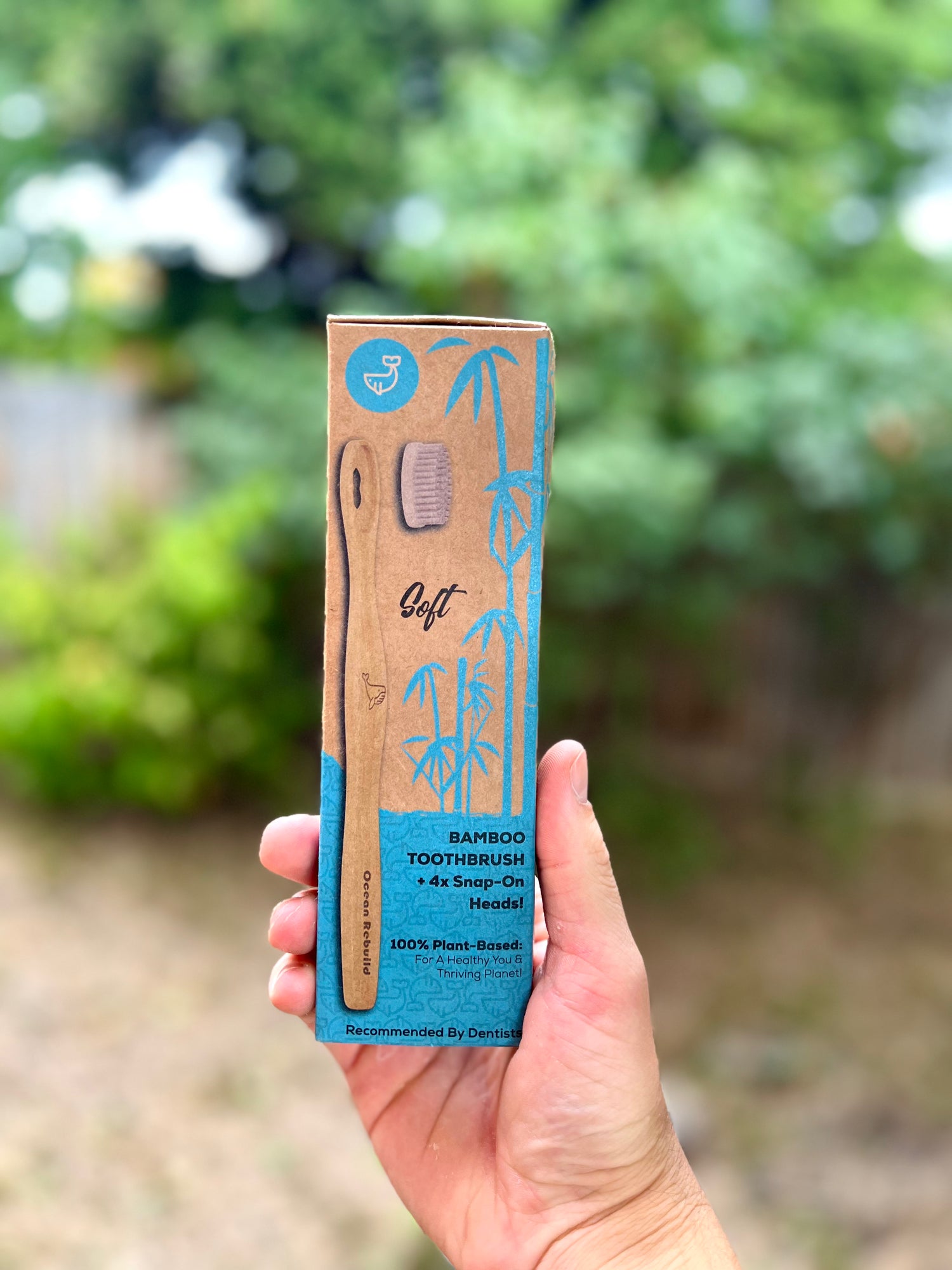Holding refresh bamboo toothbrush box